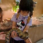 モフアニマルカフェ「マークイズ福岡ももち店」女の子がアオジタトカゲを抱っこしている画像